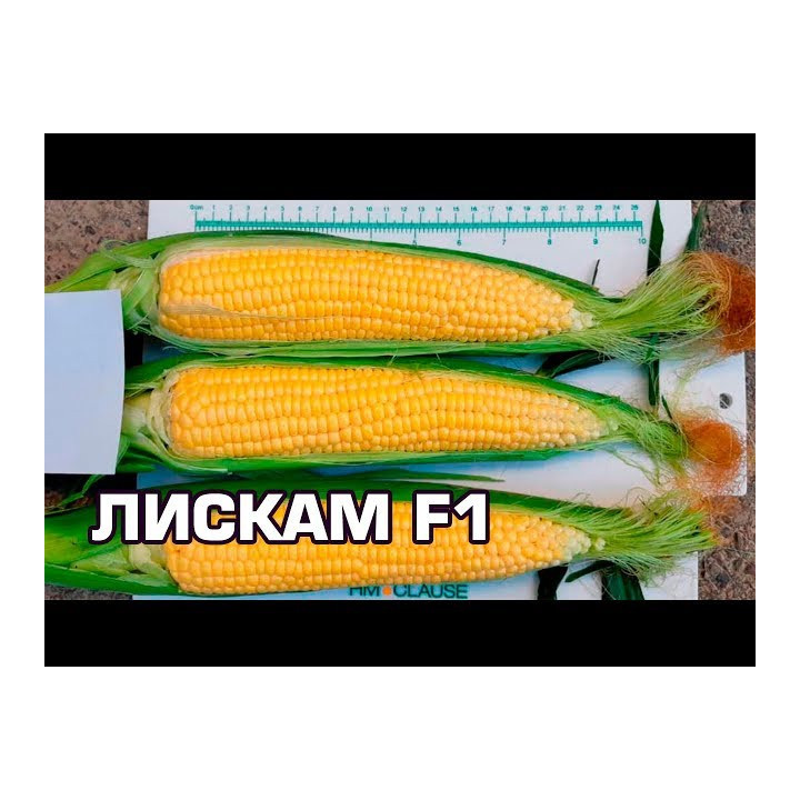ЛИМЛАВ 88