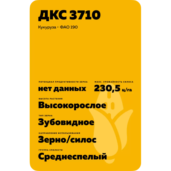 ЕГ 7077 ХТ ЦМС