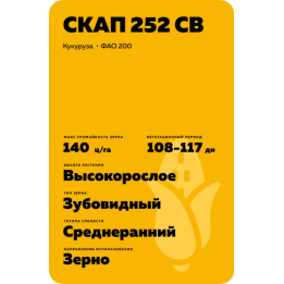 ЯКУБ СВ