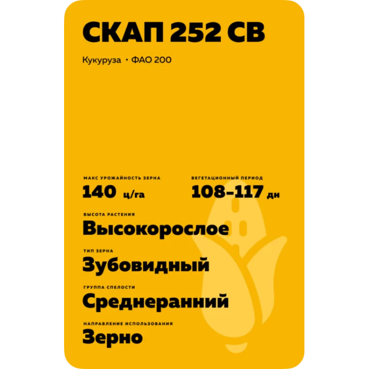 ЯКУБ СВ