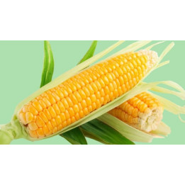 З 2 Д 2921