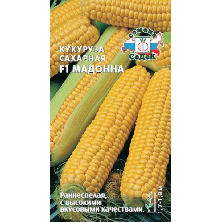 МАДОННА М