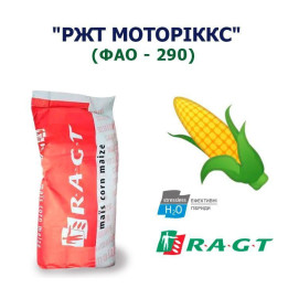 РЖТ ГУКСО