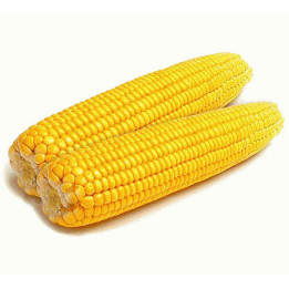 Р 07096