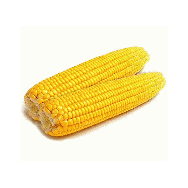 Р 07096