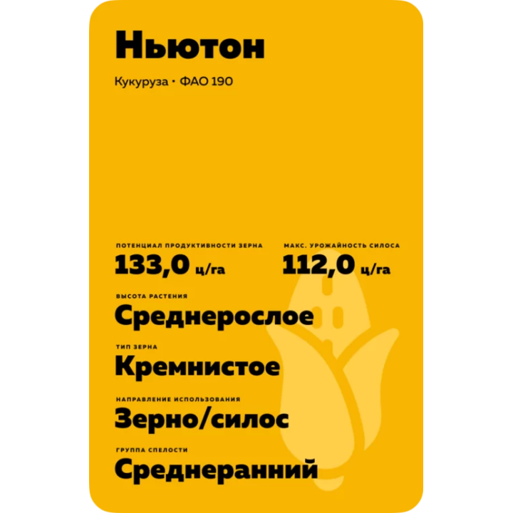 ССК 311