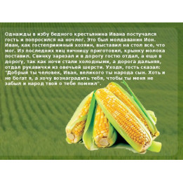КЛ 6 М
