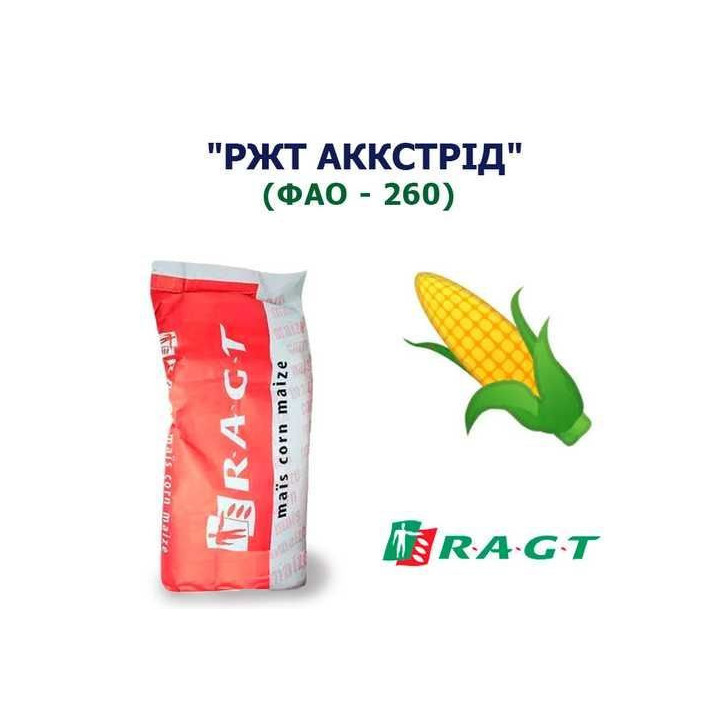РЖТ АКСТРИД