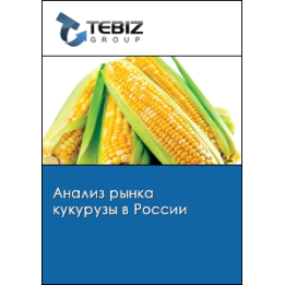 266 ФА 069