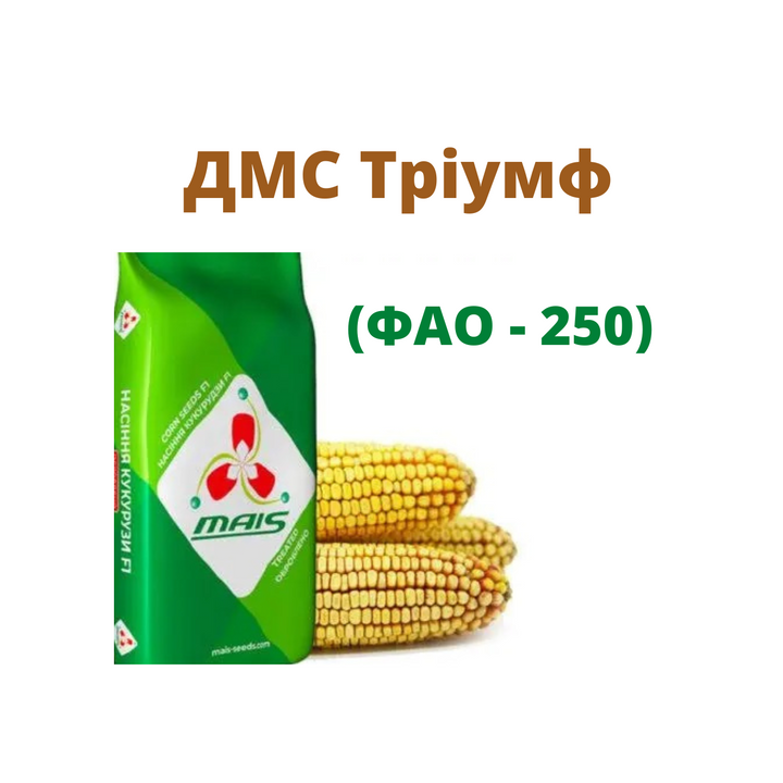 ТРИУМФ