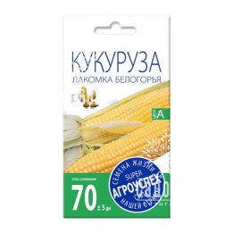 ПЯТИГОРЬЕ
