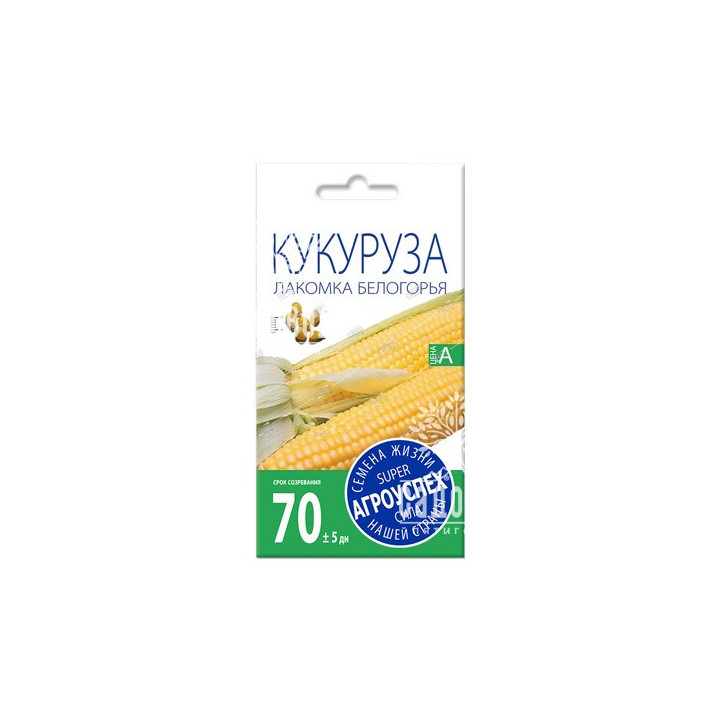 ПЯТИГОРЬЕ