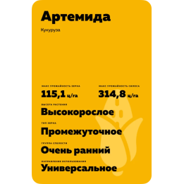АРТЕМИДА