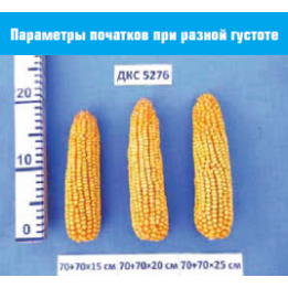 ПХ 2 РХ 1