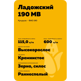 ЛАДОЖСКИЙ 190 МВ