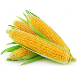 3229