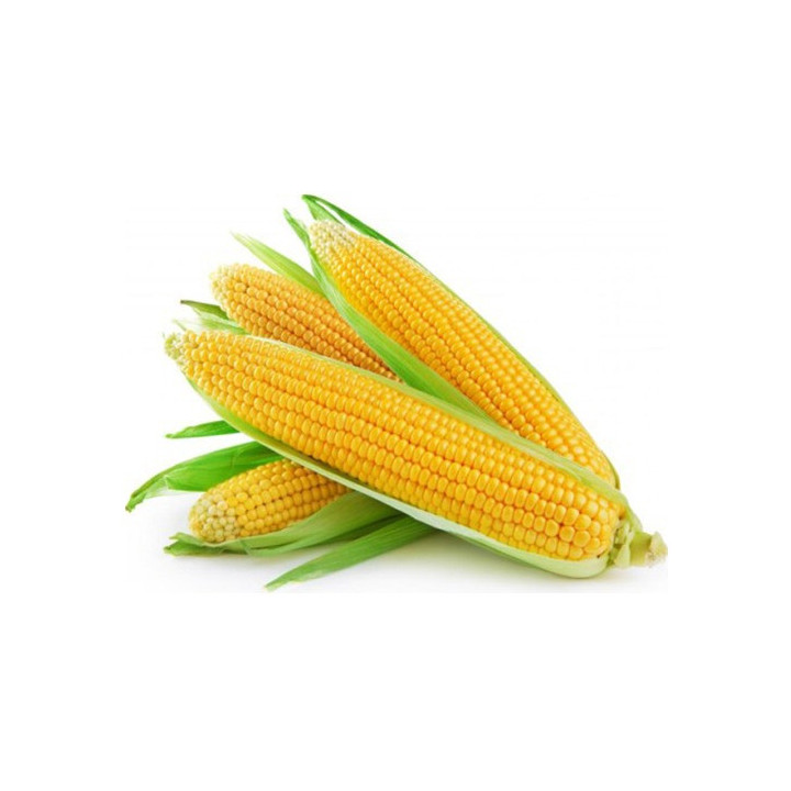 3229
