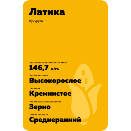 ЛАТИКА