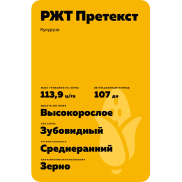 РЖТ ПРЕТЕКСТ