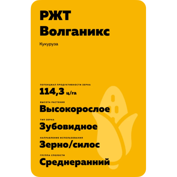 РЖТ ВОЛГАНИКС