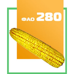 ВМ 62 МВ