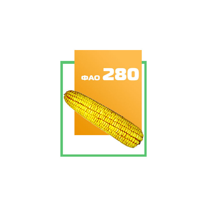 ВМ 62 МВ