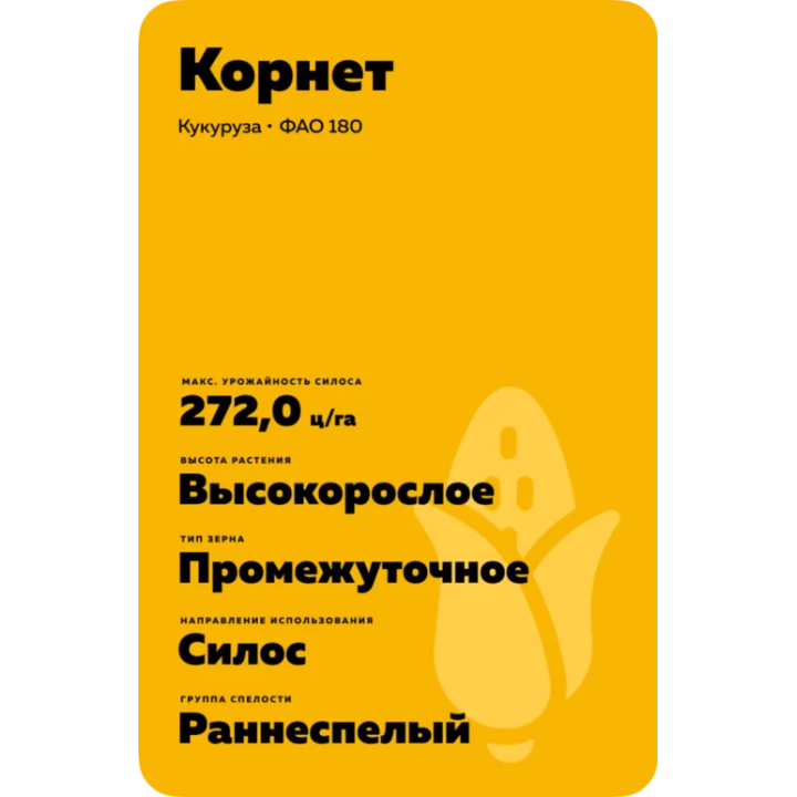 КОРНЕТ