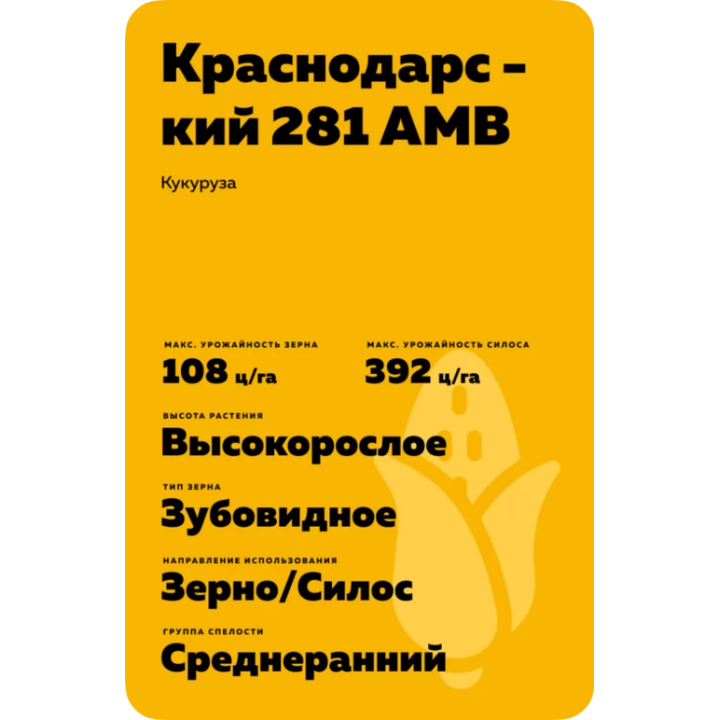 КРАСНОДАРСКИЙ 281 АМВ