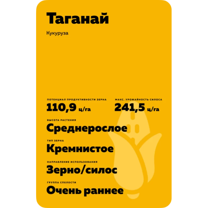 ТАГАНАЙ