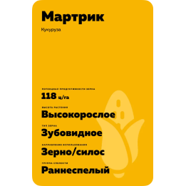 МАРТРИК