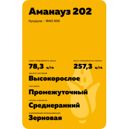 АМАНАУЗ 202