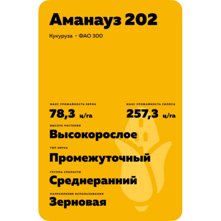 АМАНАУЗ 202