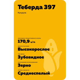 ТЕБЕРДА 397
