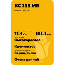 КС 135 МВ