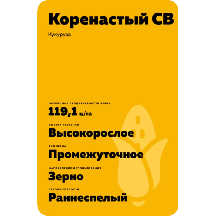 КСС 5145