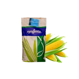 ЭВОРА
