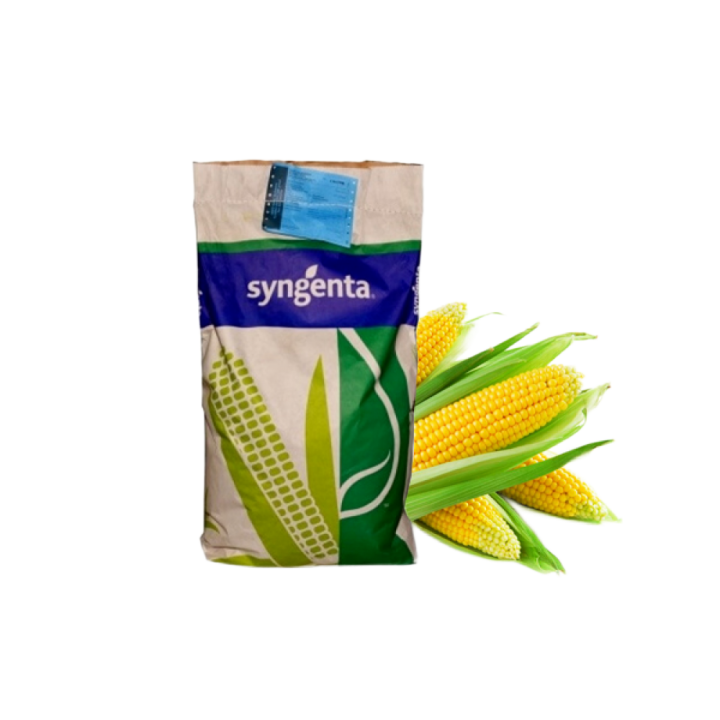 ЭВОРА