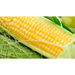 М 73