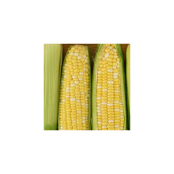 М 72