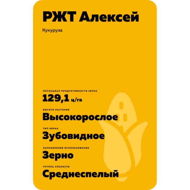РЖТ АЛЕКСЕЙ