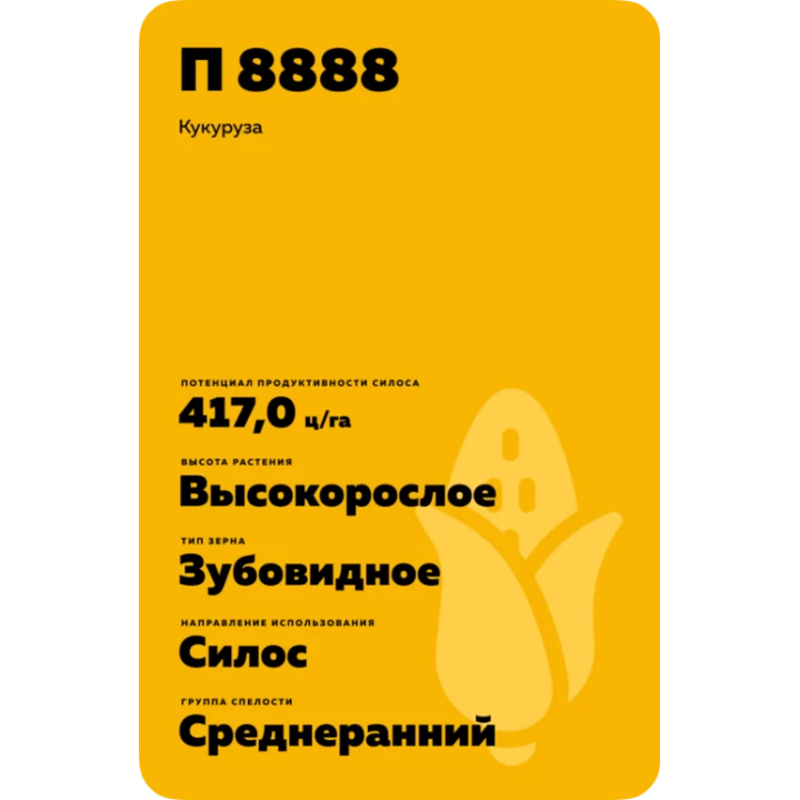 П 8888
