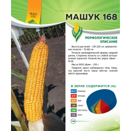МАШУК 168
