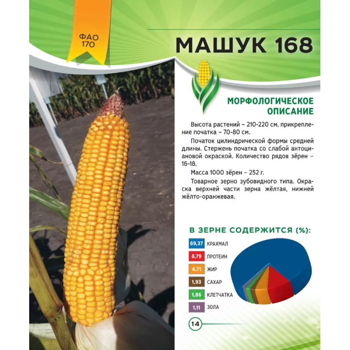 МАШУК 168