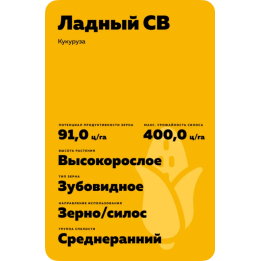 ЛАДНЫЙ СВ