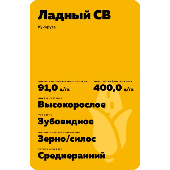 ЛАДНЫЙ СВ