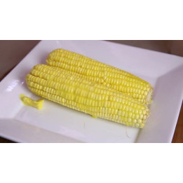 ПХ 10 ВХ 1