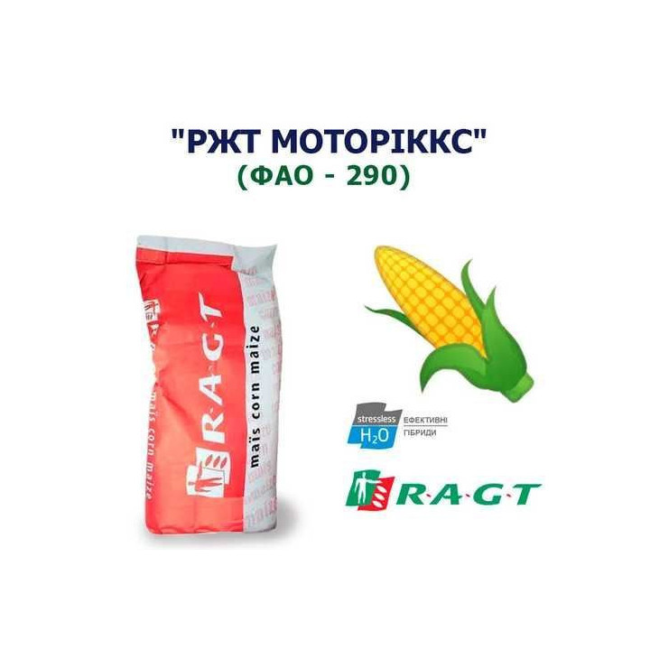РЖТ КОЛЕКТИКС