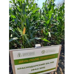 САТРИАНИ