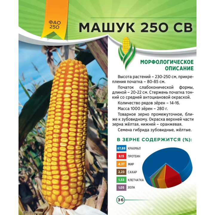МАШУК 240