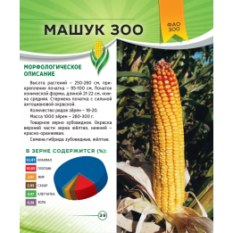 МАШУК 300